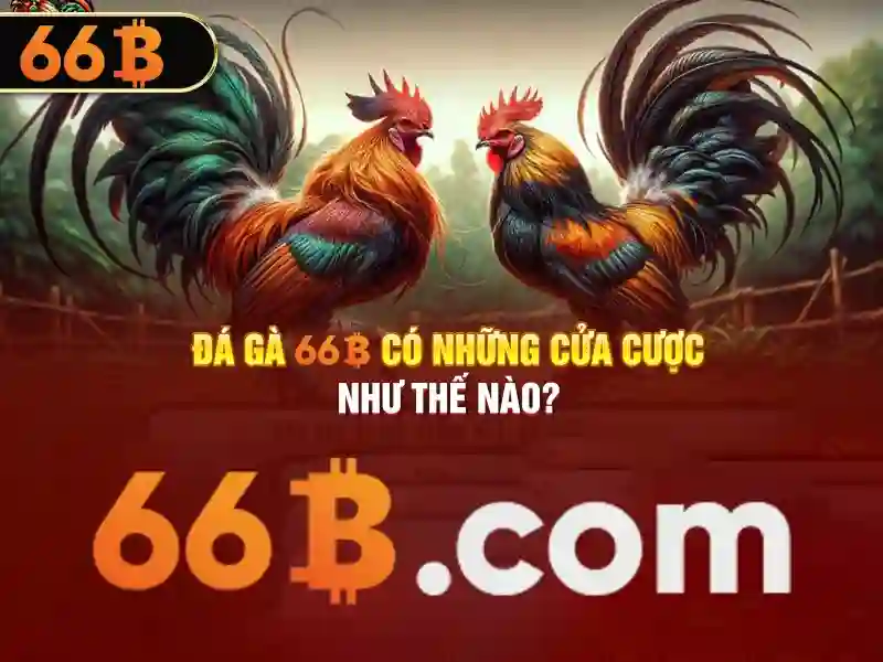 66B app - 66B