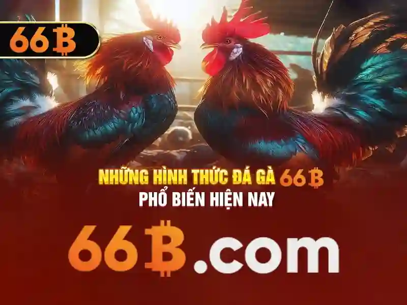 chương trình khuyến mãi - 66B