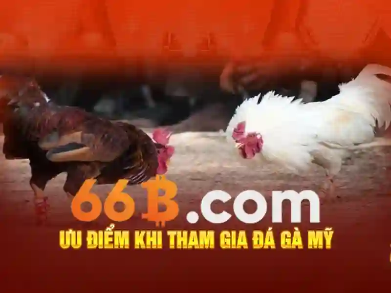  chương trình khuyến mãi 66B - 66B