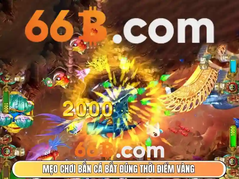 thưởng cờ tướng 66b - 66B