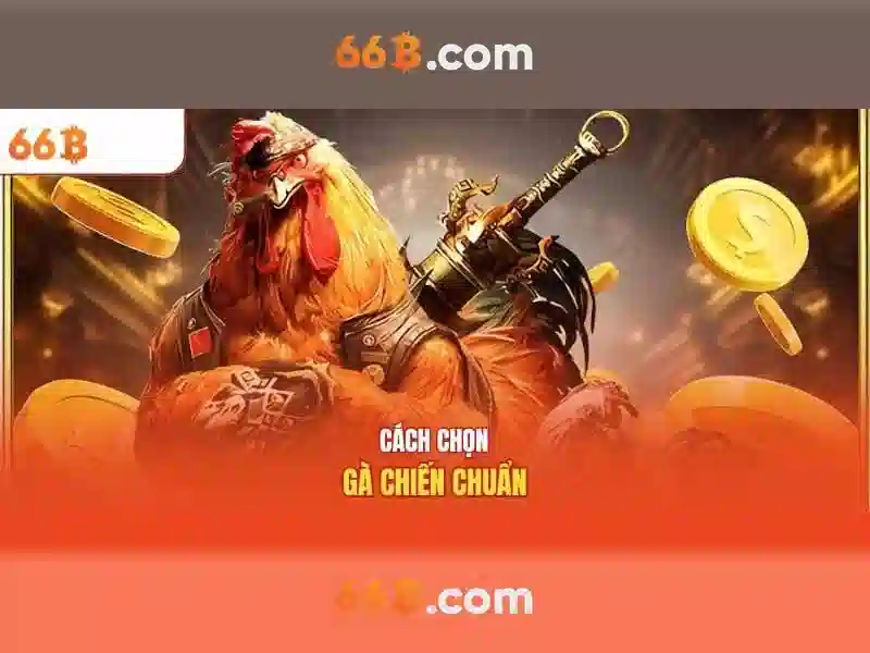 66b - Nền tảng cá cược trực tuyến đỉnh cao tại 66bvip.com.co