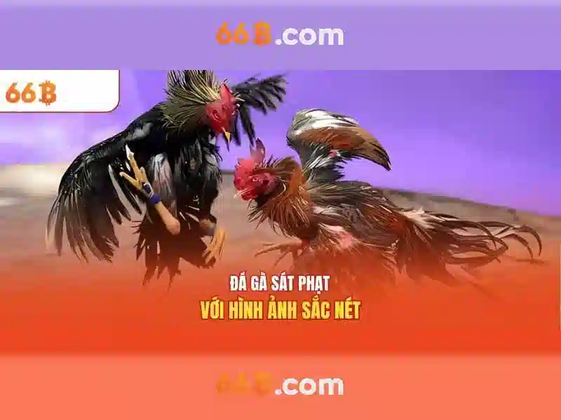 66b - Nền tảng cá cược trực tuyến đỉnh cao tại 66bvip.com.co