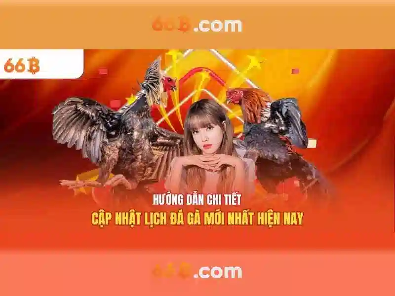 66b - Nền tảng cá cược trực tuyến đỉnh cao tại 66bvip.com.co