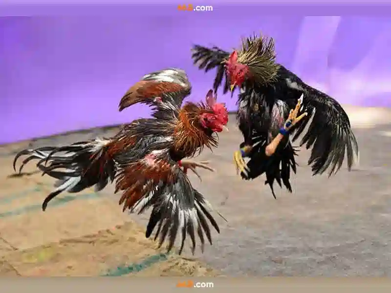  link tải 66b apk - 66B