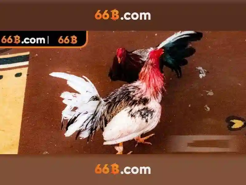  66b đăng nhập - 66B