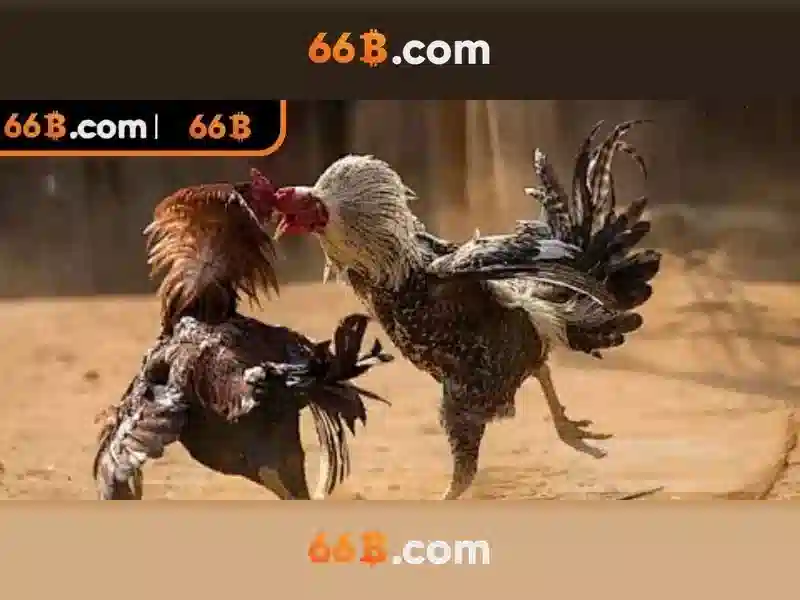  cách rút thưởng 66b - 66B