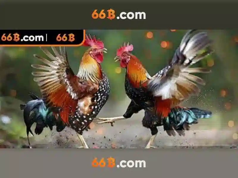  slot 66B - 66B