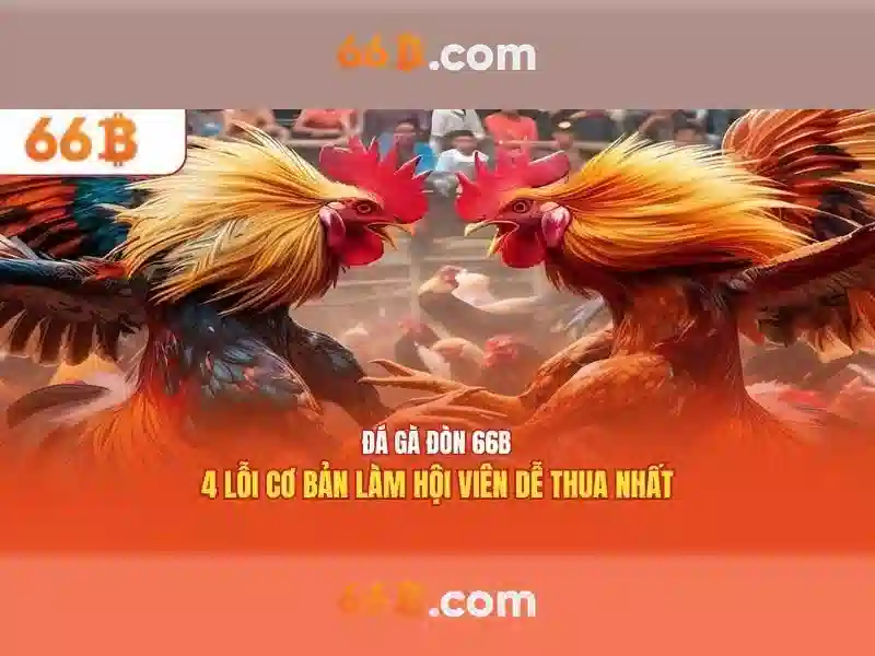 Khuyến mãi 66B - Cơ hội nhận tiền thưởng cờ tướng 66b giá trị cực khủng - 66B