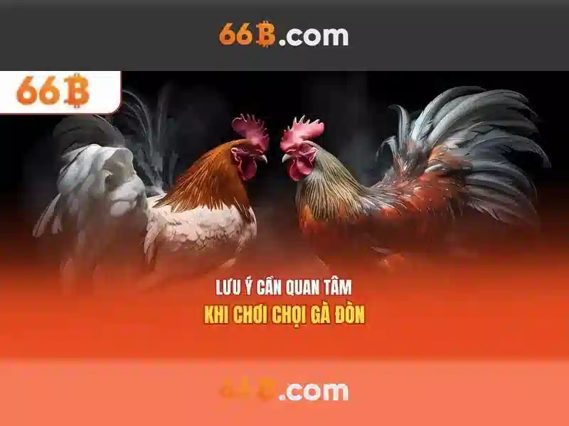  trải nghiệm cờ caro - 66B