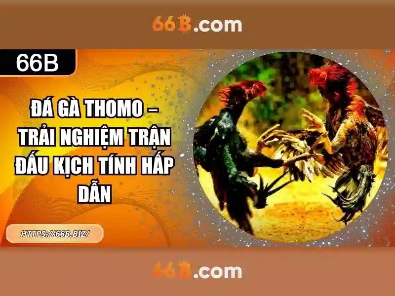 66b nhận tiền - 66B