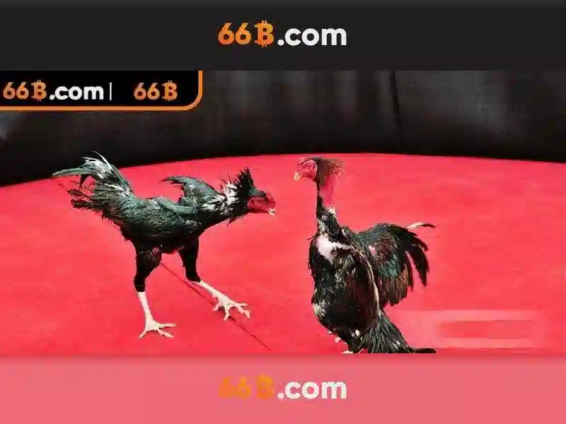 Tải App 66B – Ứng Dụng Giải Trí Siêu Tiện Ích Của Năm - 66B