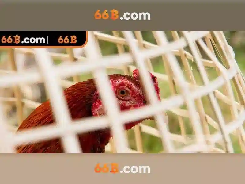 66B – Trải Nghiệm Rút Tiền Nhanh Chóng Cho Người Chơi Slot 2026 - 66B