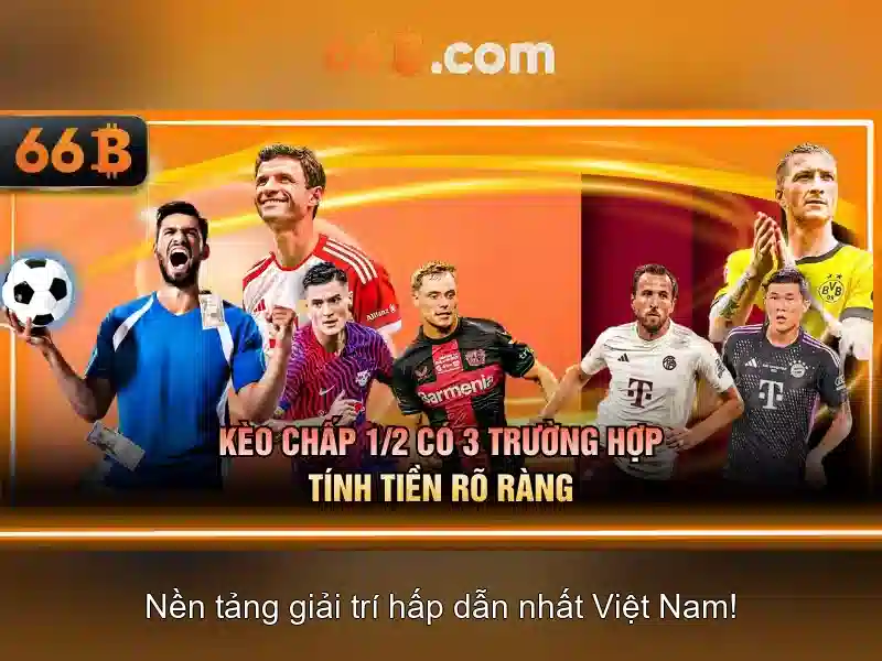 66b - Nền tảng cá cược trực tuyến đỉnh cao tại 66bvip.com.co
