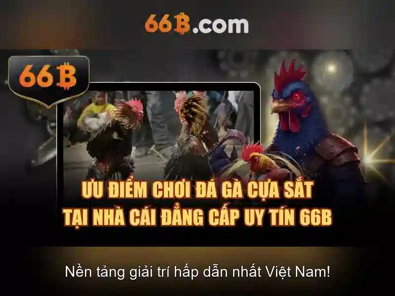 Điều Khoản Điều Kiện 66B: Quy Định Chi Tiết Cho Người Chơi Chơi Bài 66B - 66B