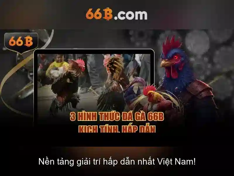 hướng dẫn đăng ký - 66B