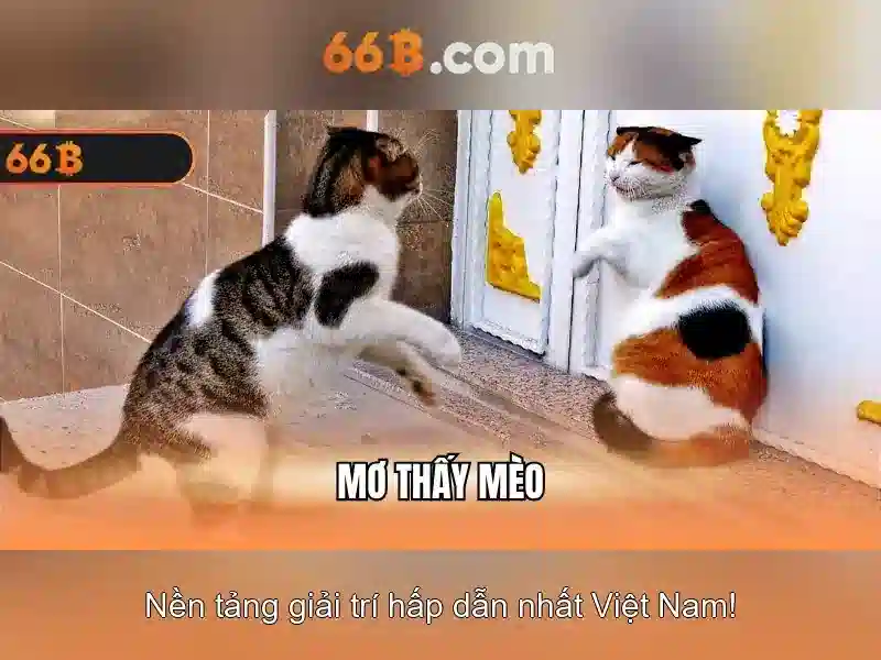 66b - Nền tảng cá cược trực tuyến đỉnh cao tại 66bvip.com.co