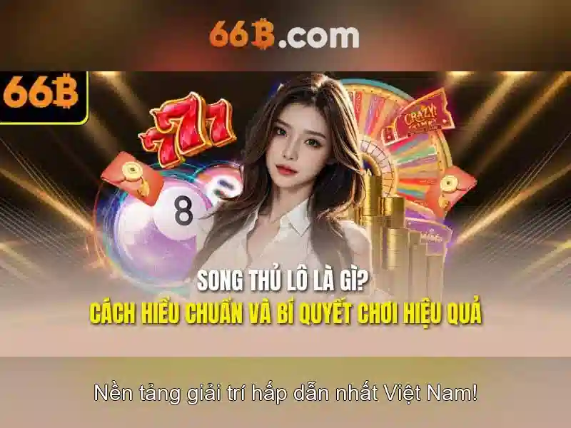đăng ký 66B - 66B
