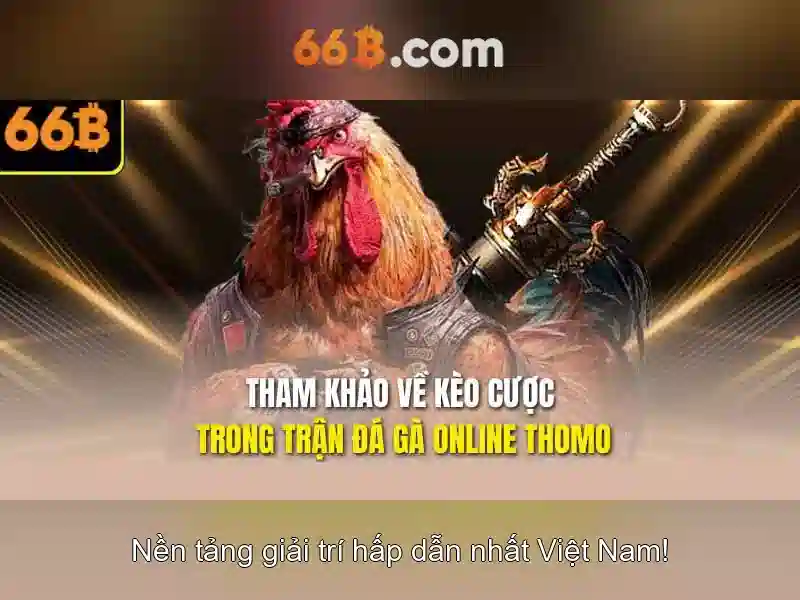 đăng ký 66B - 66B