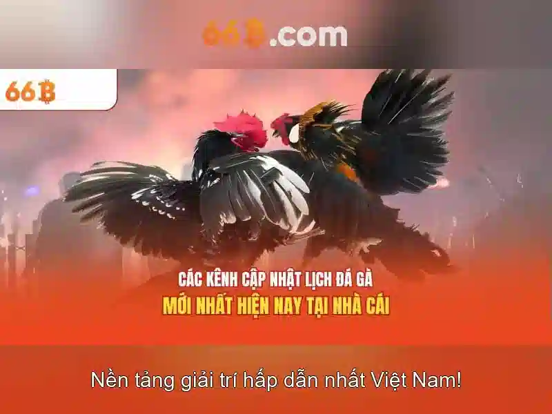 Điều Khoản Điều Kiện 66B: Quy Định Chi Tiết Cho Người Chơi Slot - 66B