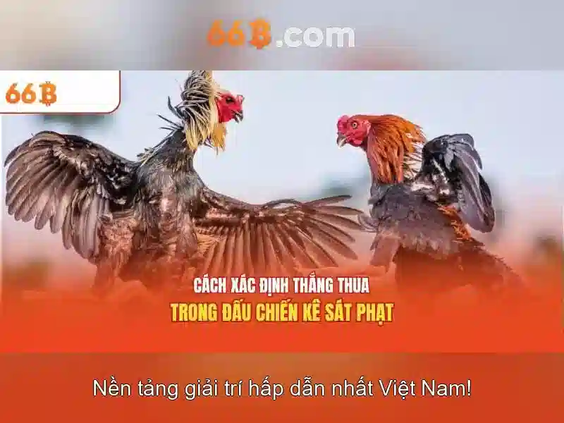  slot trực tuyến - 66B