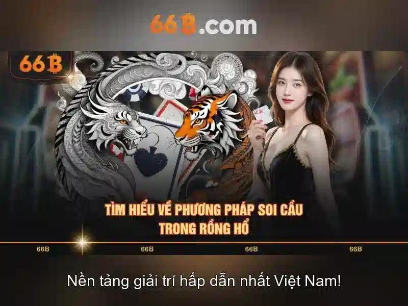 hướng dẫn sử dụng 66B - 66B