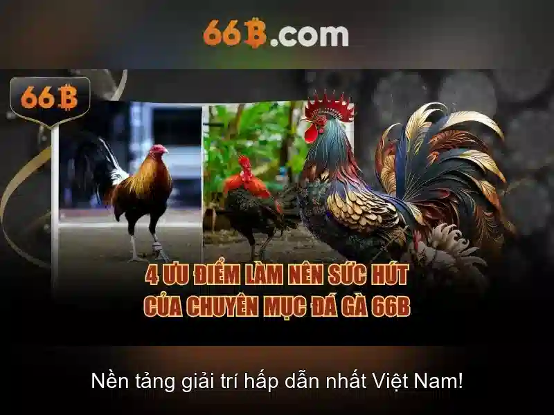  trang chủ 66B - 66B