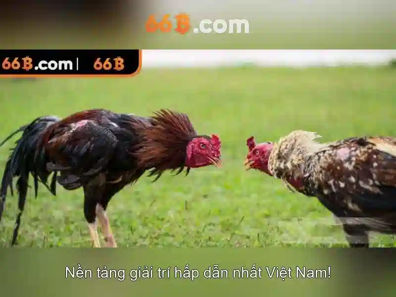 bảo mật - 66B
