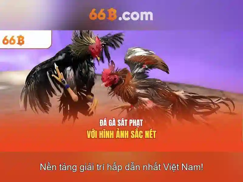 Điều Khoản Điều Kiện 66B Xây Dựng Sân Chơi Công Bằng - 66B