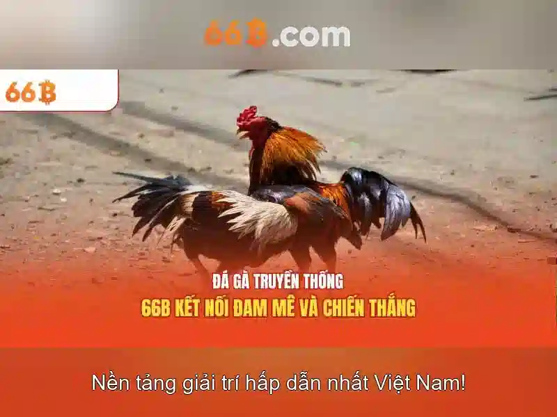 trò chơi cờ caro - 66B