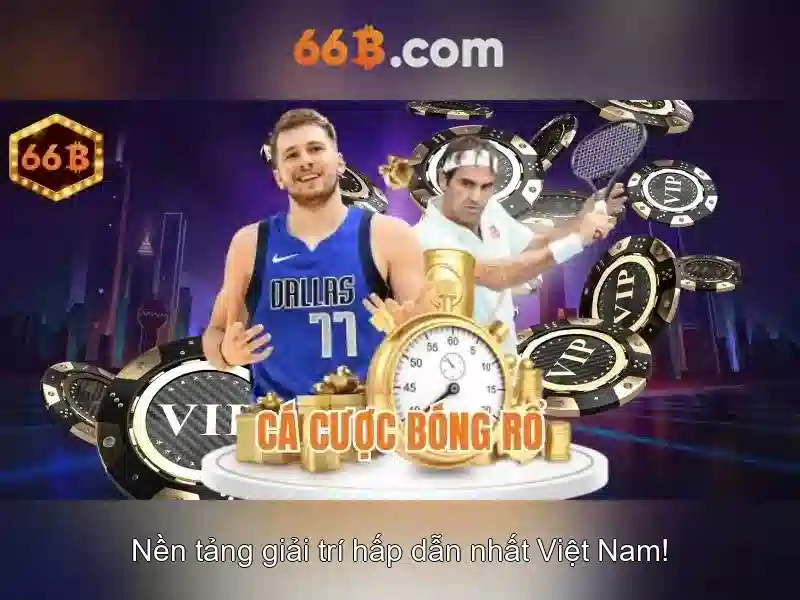 điều khoản - 66B