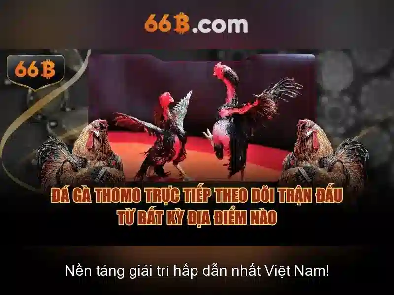  jackpot khủng 66b - 66B