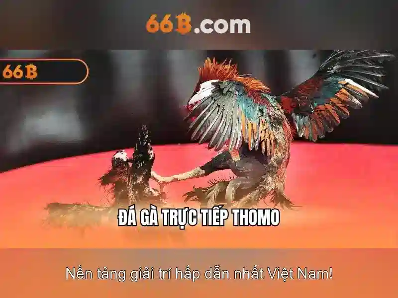 66B – Trang Chủ Casino 66B Độc Quyền 2026 - 66B