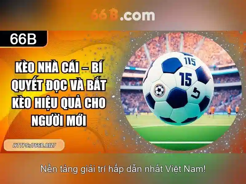 liên hệ Slot 66b - 66B