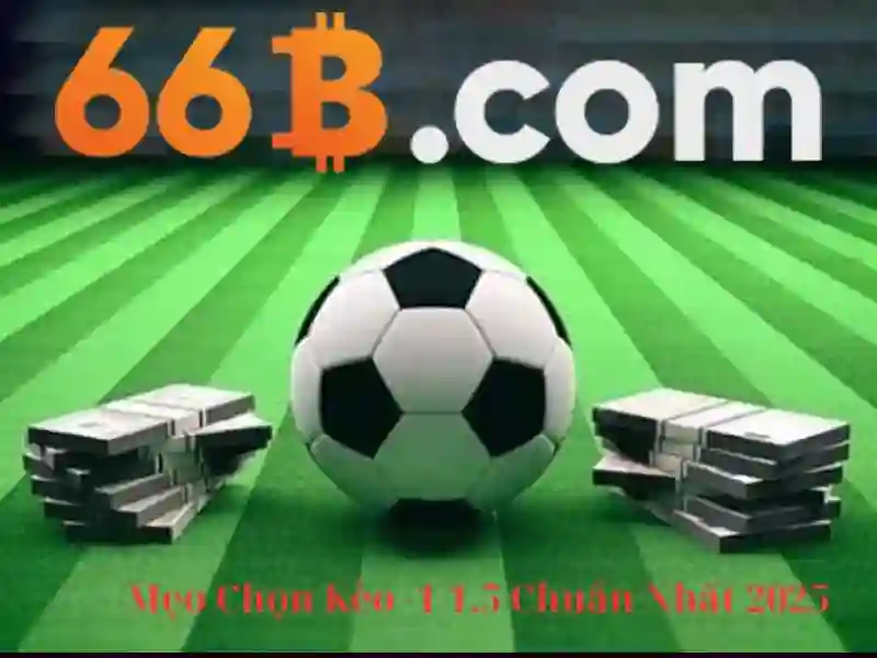 66B - 66B