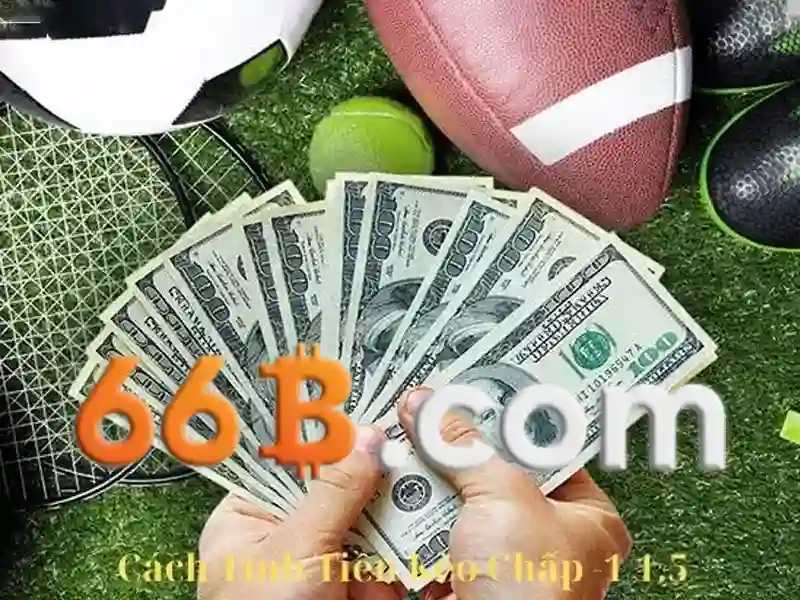 66b mới 2026 - 66B