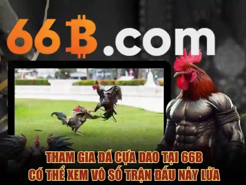 66B – Hệ Thống Hỗ Trợ Chuyên Nghiệp Cho Người Chơi Slot 66B 2026 - 66B
