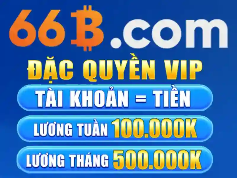 hỗ trợ 66B - 66B